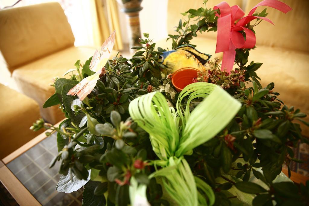 Hotel Devon Rooms & Breakfast Cesenatico Zewnętrze zdjęcie